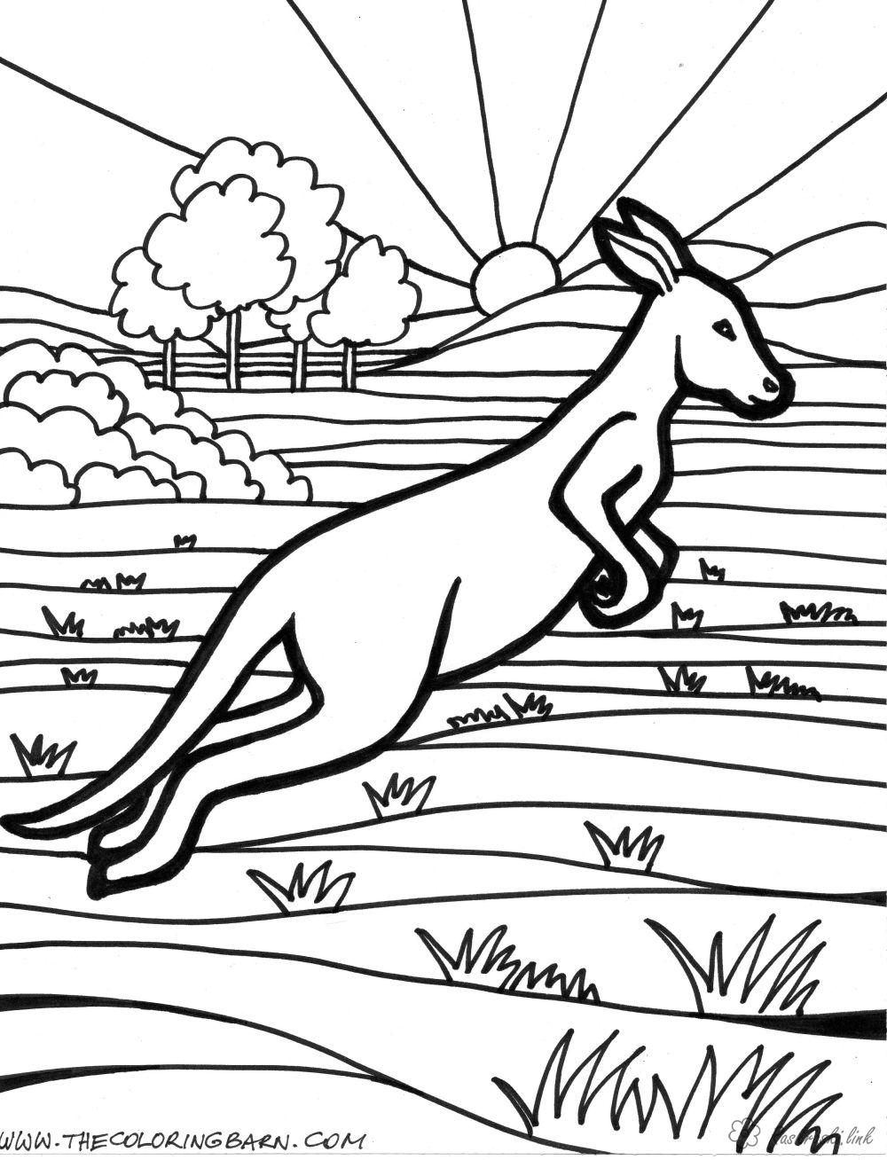 Plansa de colorat cu Australia 4 34